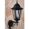 Lutec BRISTOL outdoor wall light black, transparent, clear, 1-light source, Motion sensor