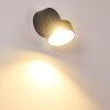 RIPEN Outdoor Wall Light LED anthracite, 1-light source