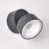 RIPEN Outdoor Wall Light LED anthracite, 1-light source