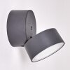 RIPEN Outdoor Wall Light LED anthracite, 1-light source