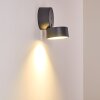 RIPEN Outdoor Wall Light LED anthracite, 1-light source