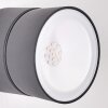 RIPEN Outdoor Wall Light LED anthracite, 1-light source