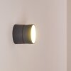 RIPEN Outdoor Wall Light LED anthracite, 1-light source