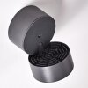 RIPEN Outdoor Wall Light LED anthracite, 1-light source