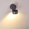 RIPEN Outdoor Wall Light LED anthracite, 1-light source