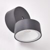 RIPEN Outdoor Wall Light LED anthracite, 1-light source