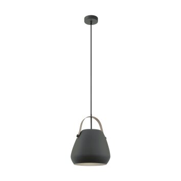 EGLO BEDNALL Pendant Light grey, 1-light source