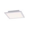 Paul Neuhaus Q-Flag Ceiling Light LED white, 1-light source, Remote control