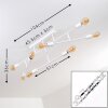 Cahaba Ceiling Light white, 8-light sources