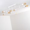 Cahaba Ceiling Light white, 8-light sources