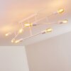 Cahaba Ceiling Light white, 8-light sources