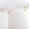 Cahaba Ceiling Light white, 8-light sources