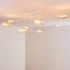 Cahaba Ceiling Light white, 8-light sources