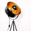 Jupiter Floor Lamp black-gold, 1-light source