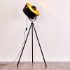 Jupiter Floor Lamp black-gold, 1-light source