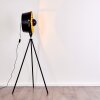 Jupiter Floor Lamp black-gold, 1-light source