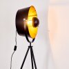 Jupiter Floor Lamp black-gold, 1-light source