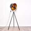 Jupiter Floor Lamp black-gold, 1-light source