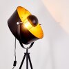 Jupiter Floor Lamp black-gold, 1-light source