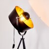 Jupiter Floor Lamp black-gold, 1-light source