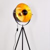 Jupiter Floor Lamp black-gold, 1-light source