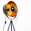 Jupiter Floor Lamp black-gold, 1-light source