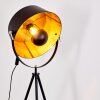 Jupiter Floor Lamp black-gold, 1-light source