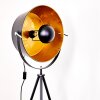 Jupiter Floor Lamp black-gold, 1-light source