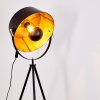 Jupiter Floor Lamp black-gold, 1-light source