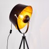 Jupiter Floor Lamp black-gold, 1-light source