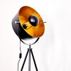 Jupiter Floor Lamp black-gold, 1-light source