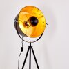 Jupiter Floor Lamp black-gold, 1-light source