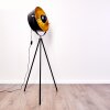 Jupiter Floor Lamp black-gold, 1-light source