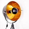 Jupiter Floor Lamp black-gold, 1-light source