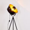 Jupiter Floor Lamp black-gold, 1-light source