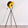 Jupiter Floor Lamp black-gold, 1-light source