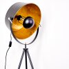 Jupiter Floor Lamp black-gold, 1-light source