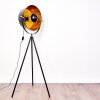 Jupiter Floor Lamp black-gold, 1-light source