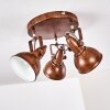 Ceiling Light Tina rust-coloured, 3-light sources