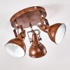 Ceiling Light Tina rust-coloured, 3-light sources