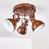 Ceiling Light Tina rust-coloured, 3-light sources