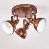 Ceiling Light Tina rust-coloured, 3-light sources